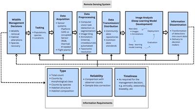 Remote sensing and machine learning to improve aerial wildlife population surveys